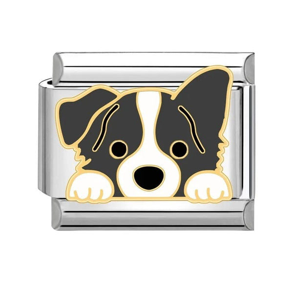 Stainless Steel 9mm Shiny 'Border Collie Dog' Link for Italian Charm Bracelet