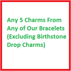 Any 5 Charms (Excluding Birthstone Drop Charms)