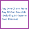 Any Charm (Excluding Birthstone Drop Charm)